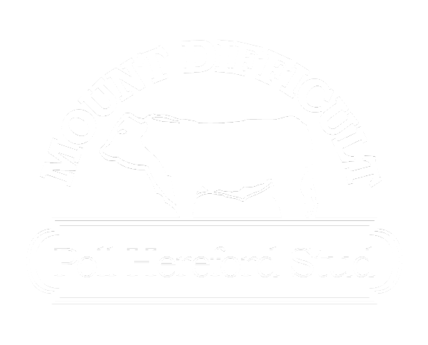 Mount Difficult Poll Hereford Studs